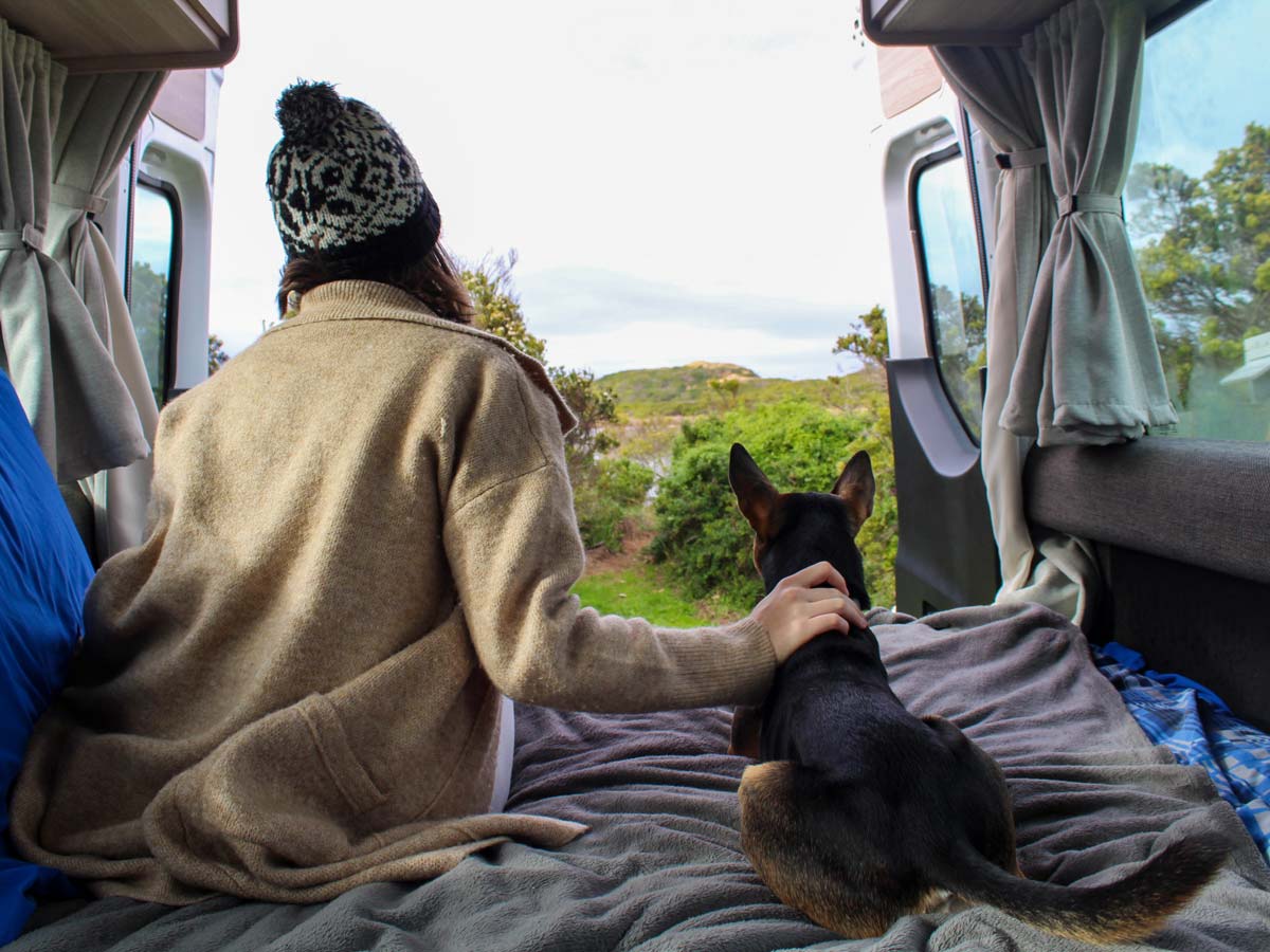 Apollo Euro Tourer -   